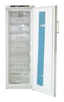 Refrigerator Kelon RS-30WC4SFYS larawan, katangian
