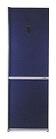 Buzdolabı LG GA-B369 PQ fotoğraf, özellikleri