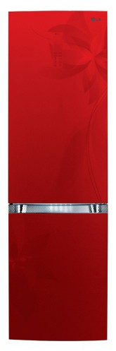 Køleskab LG GA-B439 TLRF Foto, Egenskaber