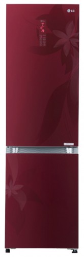 Kühlschrank LG GA-B489 TGRF Foto, Charakteristik