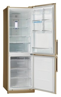 Buzdolabı LG GC-B419 WEQK fotoğraf, özellikleri