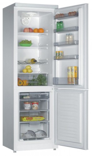 Buzdolabı Liberty MRF-305 fotoğraf, özellikleri