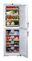 Buzdolabı Liebherr BGNDes 2986 fotoğraf, özellikleri