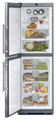Refrigerator Liebherr BNes 2956 larawan, katangian