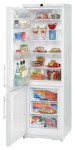 Холодильник Liebherr C 4023 60.00x201.10x63.20 см