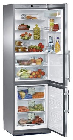 Ψυγείο Liebherr CBes 4056 φωτογραφία, χαρακτηριστικά