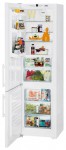 Refrigerator Liebherr CBP 4013 60.00x201.10x63.00 cm