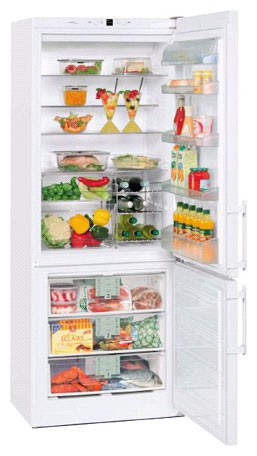 Buzdolabı Liebherr CN 5013 fotoğraf, özellikleri