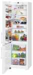 Refrigerator Liebherr CNP 4013 60.00x201.10x63.00 cm