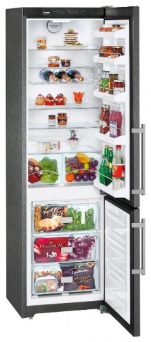 Buzdolabı Liebherr CNPbs 4013 fotoğraf, özellikleri