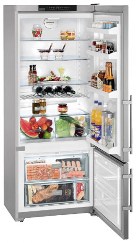 Refrigerator Liebherr CNPesf 4613 larawan, katangian
