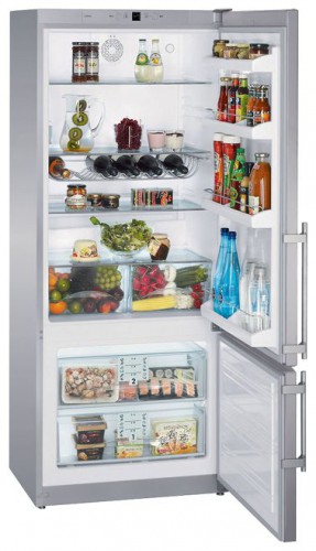 Buzdolabı Liebherr CPesf 4613 fotoğraf, özellikleri