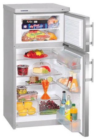Kühlschrank Liebherr CTesf 2041 Foto, Charakteristik