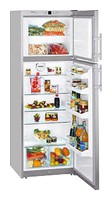 Refrigerator Liebherr CTPesf 3223 larawan, katangian
