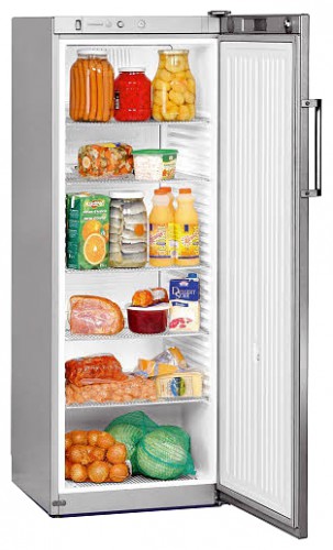 Ψυγείο Liebherr FKvsl 3610 φωτογραφία, χαρακτηριστικά