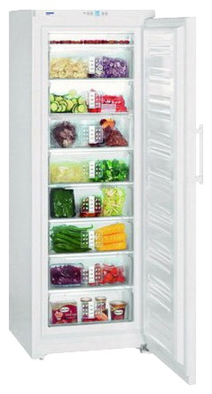 Refrigerator Liebherr G 4013 larawan, katangian