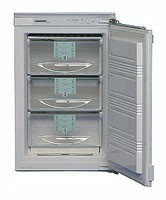 Tủ lạnh Liebherr GI 1023 ảnh, đặc điểm