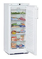 Tủ lạnh Liebherr GN 2153 ảnh, đặc điểm