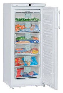 Refrigerator Liebherr GN 2156 larawan, katangian