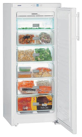 Tủ lạnh Liebherr GN 2303 ảnh, đặc điểm