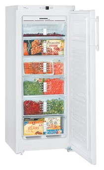 Buzdolabı Liebherr GN 2313 fotoğraf, özellikleri