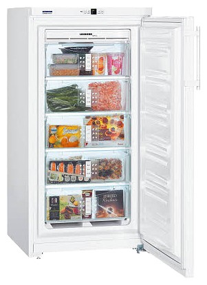 Ψυγείο Liebherr GN 2613 φωτογραφία, χαρακτηριστικά