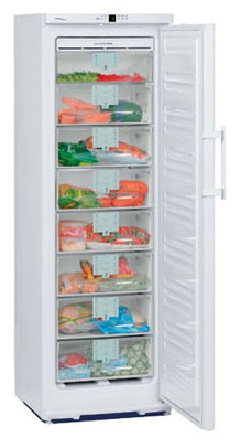 Refrigerator Liebherr GN 2856 larawan, katangian