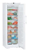 Refrigerator Liebherr GN 3066 larawan, katangian