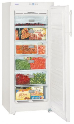 Refrigerator Liebherr GNP 2303 larawan, katangian