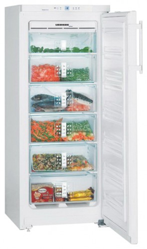Tủ lạnh Liebherr GNP 2356 ảnh, đặc điểm