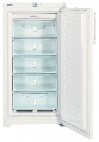 Buzdolabı Liebherr GNP 2666 fotoğraf, özellikleri