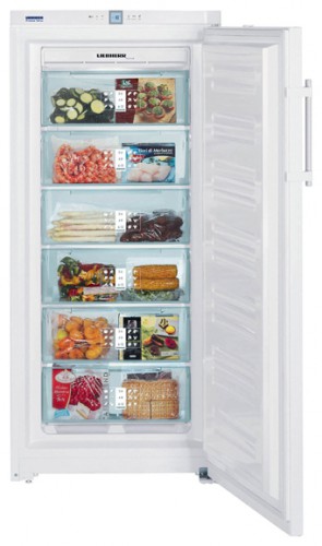 Kjøleskap Liebherr GNP 3166 Bilde, kjennetegn