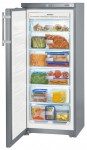 Холодильник Liebherr GNsl 2323 60.00x144.70x63.00 см