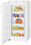 Холодильник Liebherr GP 2033 60.00x125.00x63.20 см