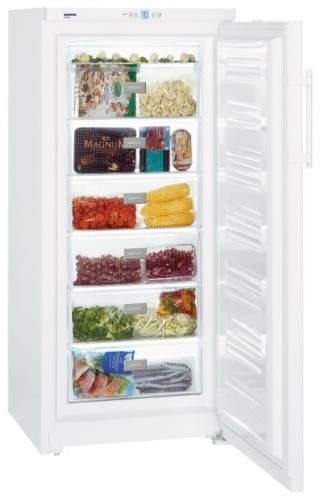 Холодильник Liebherr GP 3013 фото, Характеристики