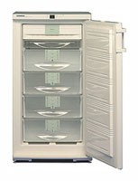 Холодильник Liebherr GSN 2023 фото, Характеристики