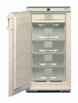 Холодильник Liebherr GSN 2023 66.00x125.00x68.30 см
