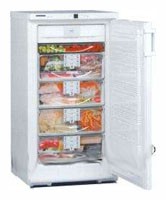 Buzdolabı Liebherr GSN 2026 fotoğraf, özellikleri