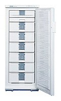 Refrigerator Liebherr GSN 2926 larawan, katangian