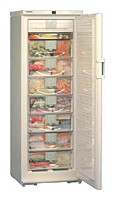 Refrigerator Liebherr GSN 3323 larawan, katangian