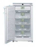 Холодильник Liebherr GSNP 2026 66.00x125.00x68.30 см