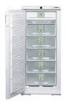 Холодильник Liebherr GSNP 2426 66.00x144.70x68.30 см