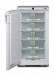 Холодильник Liebherr GSP 2226 66.00x125.00x68.30 см