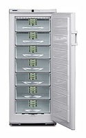 Холодильник Liebherr GSP 3126 Фото, характеристики