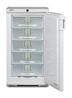 Refrigerator Liebherr GSS 2226 larawan, katangian