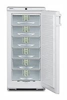 Refrigerator Liebherr GSS 2726 larawan, katangian