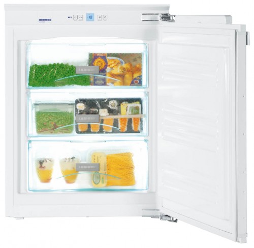Kühlschrank Liebherr IG 1014 Foto, Charakteristik