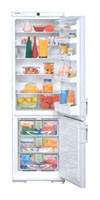 Ψυγείο Liebherr KGN 3836 φωτογραφία, χαρακτηριστικά