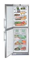 Refrigerator Liebherr SBNes 2900 larawan, katangian