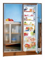 Buzdolabı Liebherr SBS 46E3 fotoğraf, özellikleri